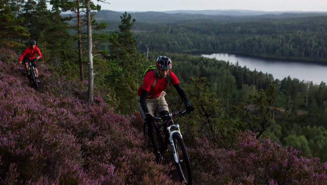 Två män cyklar mountainbike på skogsstig