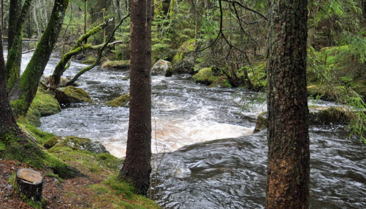 Sandaredsån