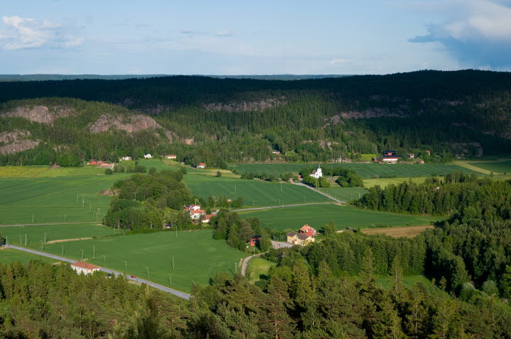 Vandringsleder