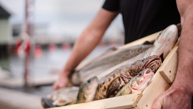 Man håller i låda med fisk.