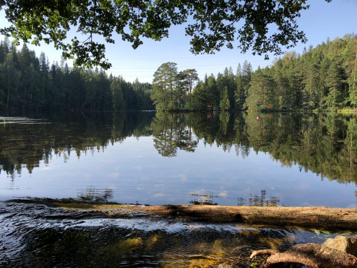 Höljerudsforsarna FVO