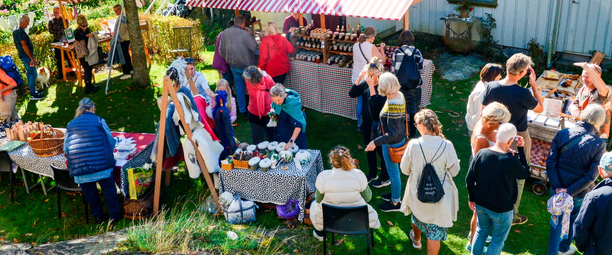 Many people at the Harvest Market 2024 at Stuveröd Sheep- and horsefarm, Skaftö 