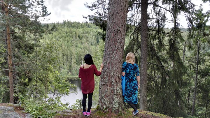 Kypegårdens friluftsområde