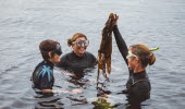 Group of people learning about seaweed.