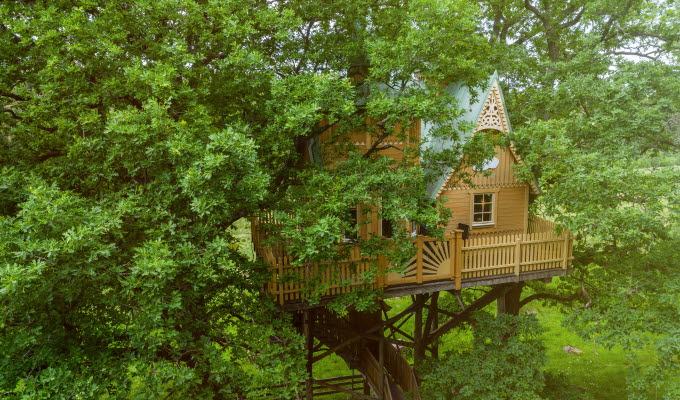 Gult hus med snickarglädje upp i ett träd.