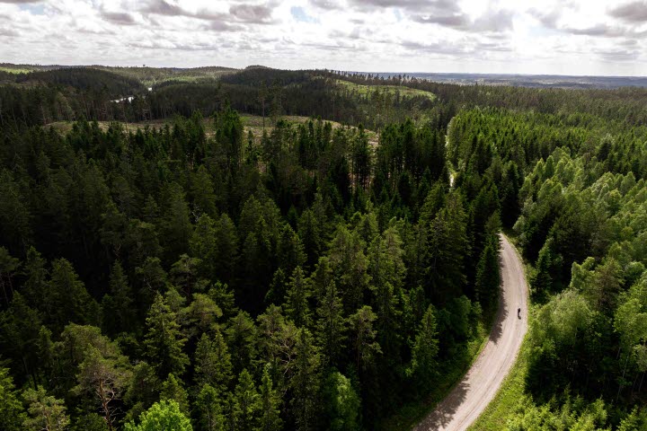Berg- och dalbanan i granskogen – 41 km
