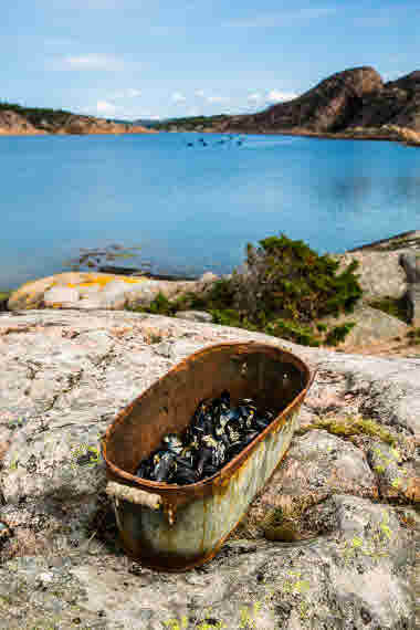 Lysekil, Käringholmen