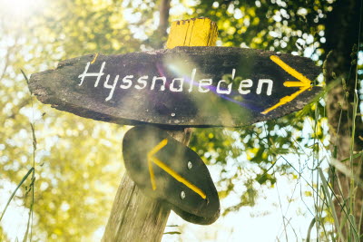 Hyssnaleden