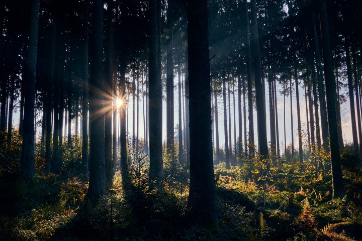 Stora Fjälletrundan