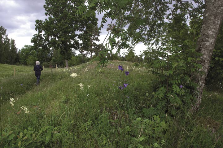 Ryr Naturreservat