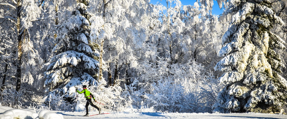 Cross country skiing in Falköping