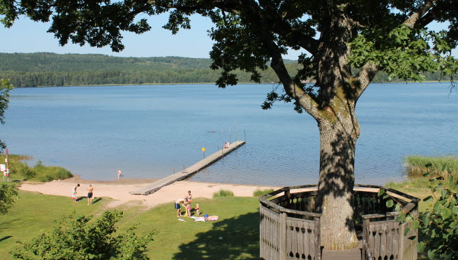 Beach at Skotteksgården Camping.