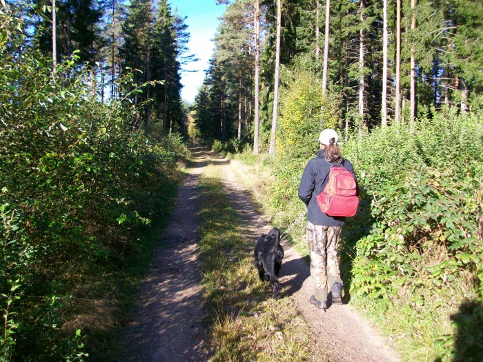 Roasjö vandringsleder