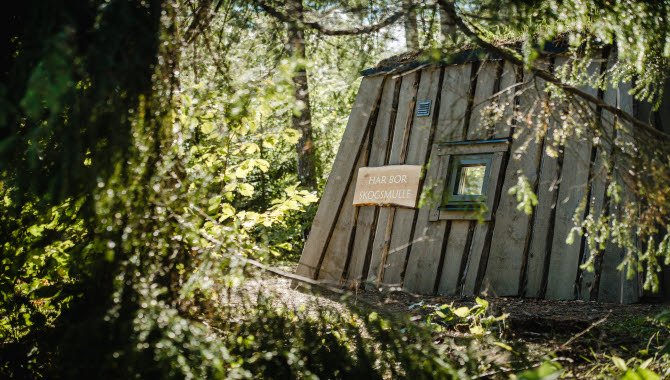 Ett litet trähus omgivet av skog.