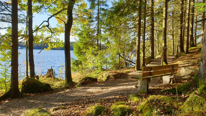 Dalsjön runt