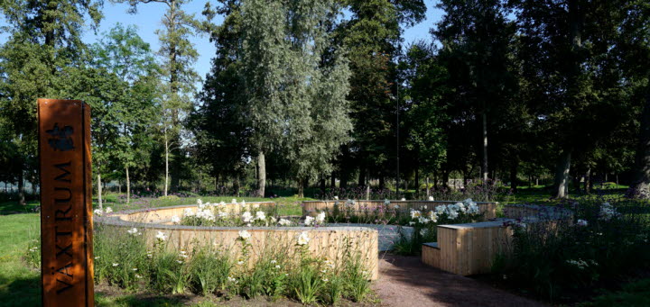 Växtrum: Solens Öga