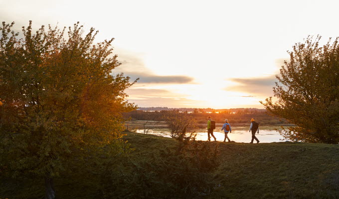 Vandring vid Hornborgasjön