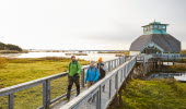 Vandring vid Hornborgasjön