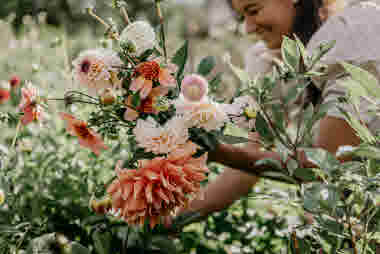 Fridas Blomster, Brämhult