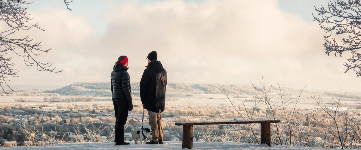 Man och kvinna står och kikar på utsikten med en hund. Det är vinterlandskap.