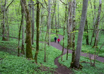Vandring på Kinnekulle
