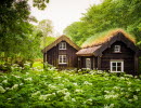 Old cottages in brown with grass on the roof. Lush and green nature all around.