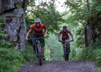 Grupp av människor som cyklar MTB på Billingen.