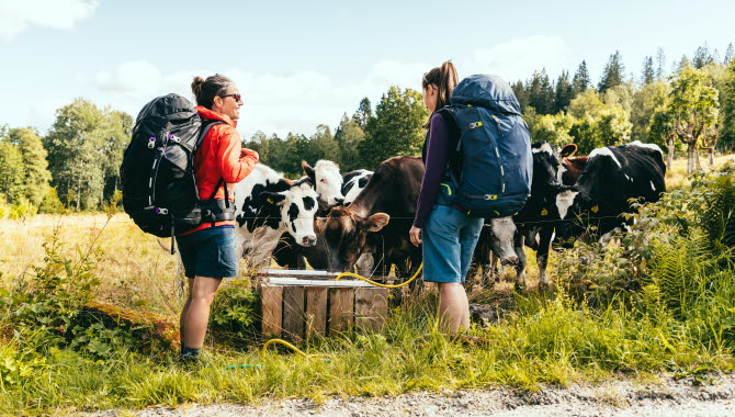 Vandring Sjuhäradsleden
