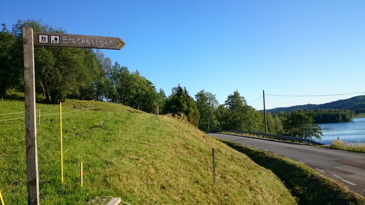 Knarrbysjöturen