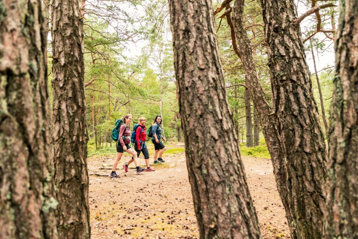 Vandrare längst med Bohusleden