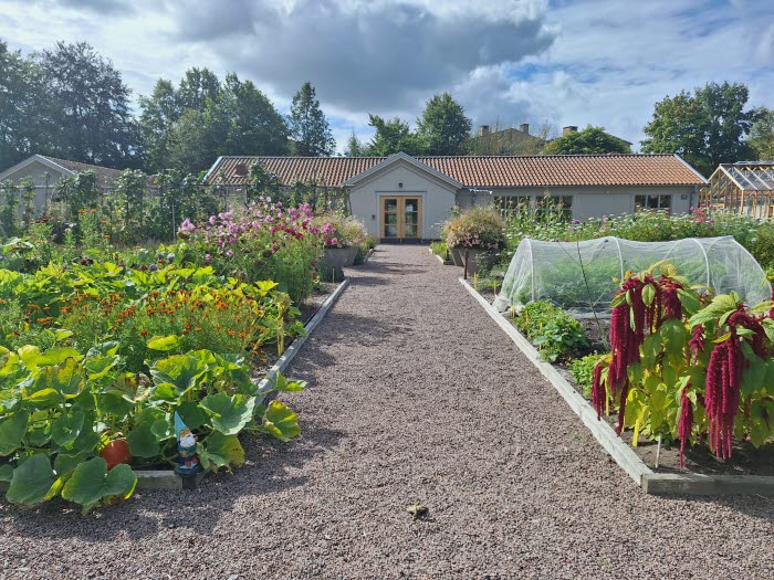 Grusgång med planteringar på var sida leder fram till ett enplans hus. 