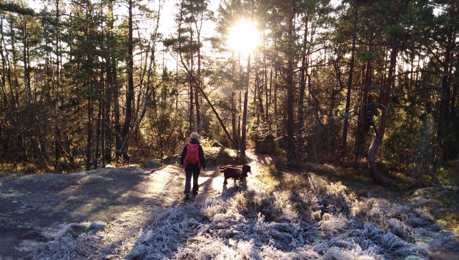 Vintervandring på Bohusleden