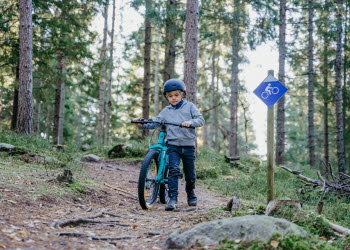 Mountain Bike at Lassalyckan