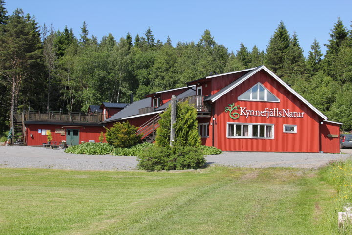 Kynnefjälls Natur