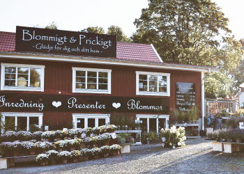 En bild på utsidan av en rödmålad butik med mängder av blommor och växter som står uppradade till försäljning.