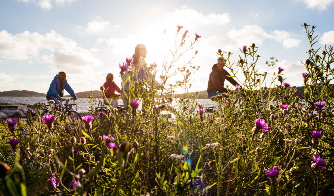 Cykel
Orust
blommor