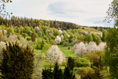 Bockaskedeåsen
