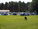 Pop-up camp during the blues festival