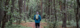 A man is hikeing in the forest.