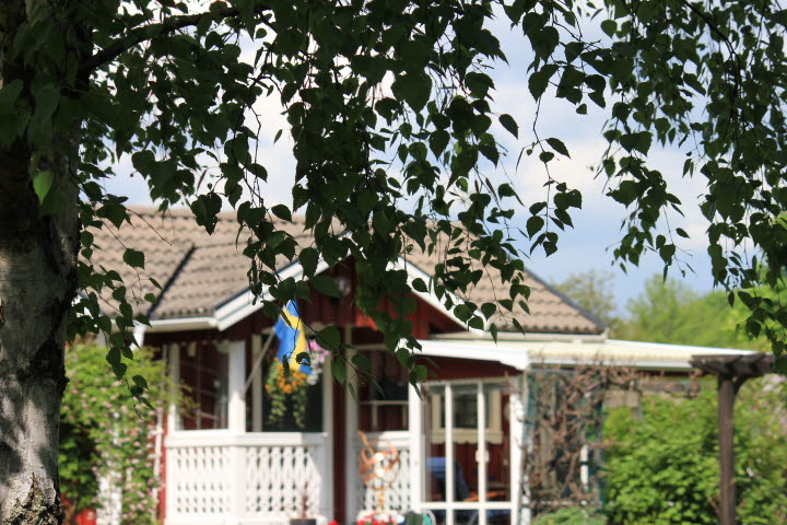 Västerängs Koloniträdgård
