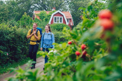 Johannesvik Camping, Kungshamn