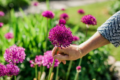 Sammels Trädgård, Landvetter
