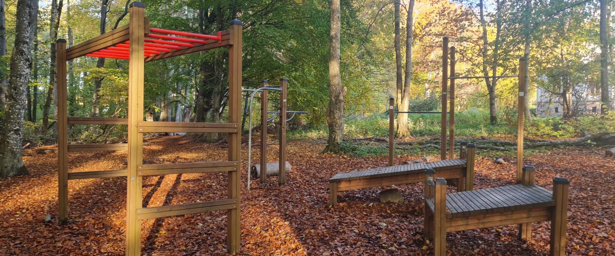Outdoor gym in the forest a sunny day in autumn