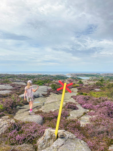 vandring på vetteberget på Tjörn 