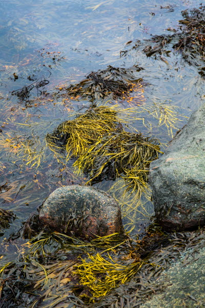 Havstenssund, Grebbestad