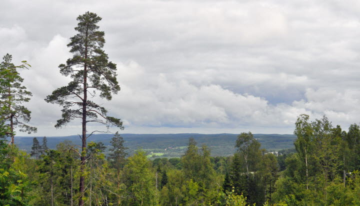 Knektås Tosseryd vandringleder