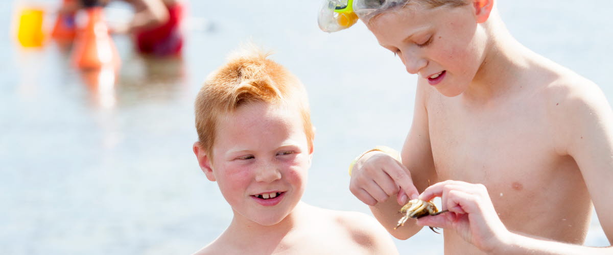 Kids wearing swimwear are standing on a beach, one of them is holding a small crab. 