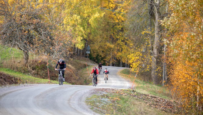 Bikers on a gravel road.