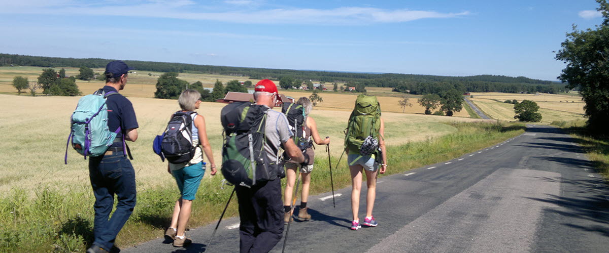 Five people with rucksacks walking on a smaller asphalt road along the lush green and blue sky.