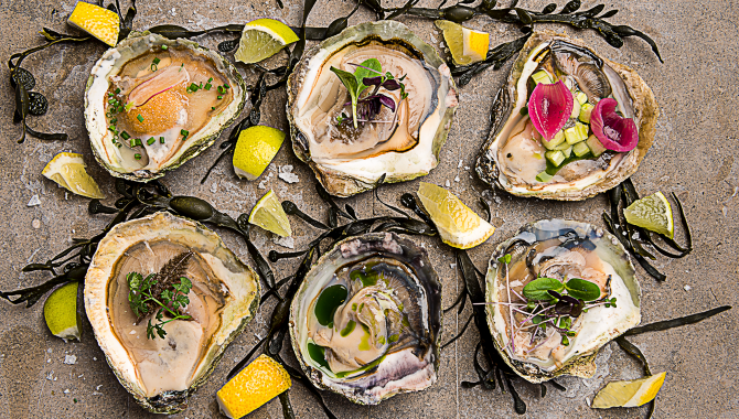 Oyster at Albert Hotell.